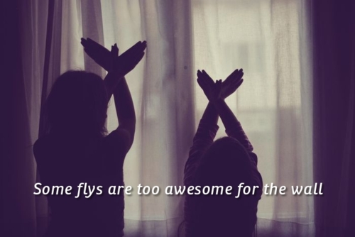 tumblr_luu5r2YZRs1qgsbuho1_500