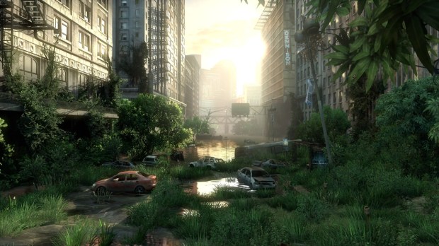 The Last of Us graphics