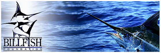 billfish