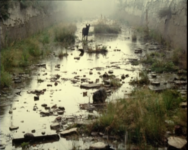 snapshot_dvd_00.11.41_[2013.12.01_20.15.42]