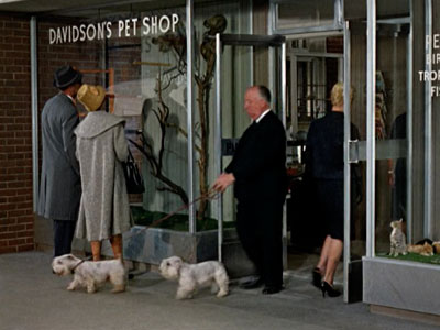 birds-hitchcock-cameo