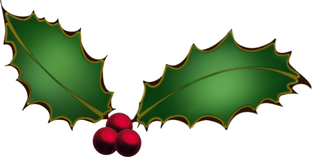 christmas-holly-clipart-ecM7Gbgcn