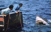 jaws-movie-scene
