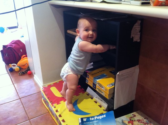 six month old funk jr