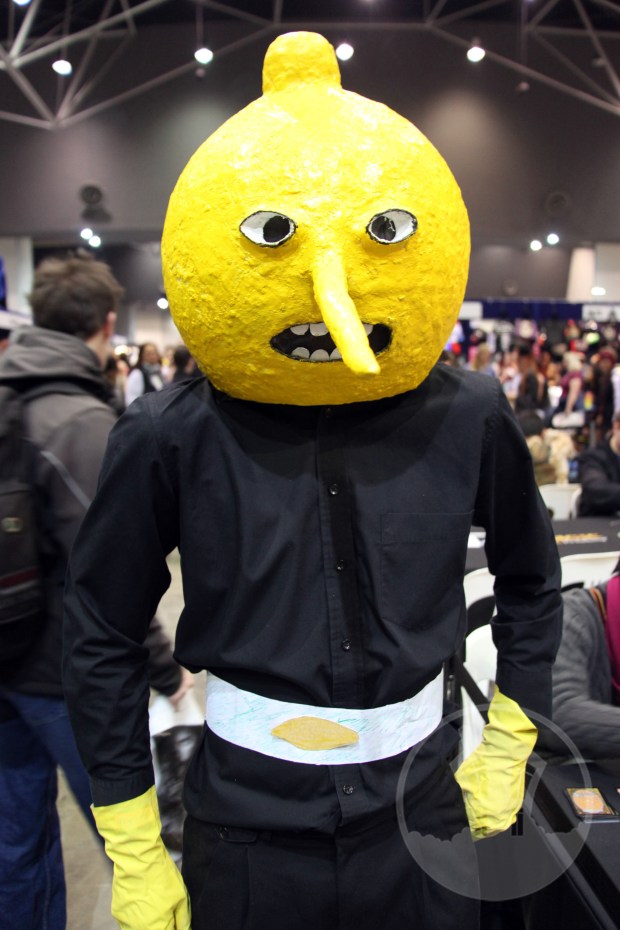 Supanova Cosplay HoG 2016 Sat 21