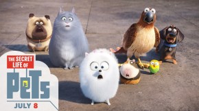 secret life of pets