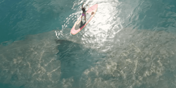 the-meg-trailer-1523369770