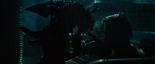 avprequiembdcap10_original