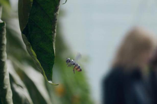 Hated-in-Nation-Body-Image-2-10222016