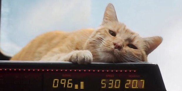 5c800e0feb3ce843f5241203-1136-568