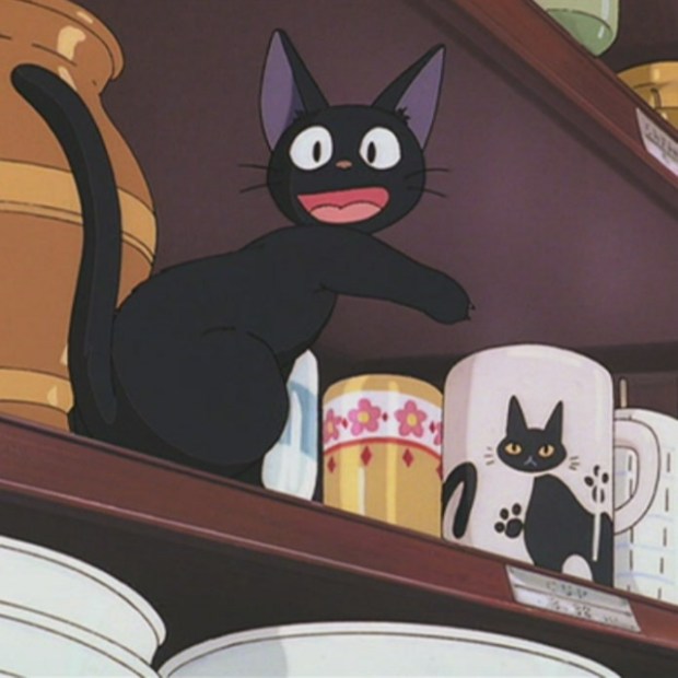 8_tracks_-_jiji-9168